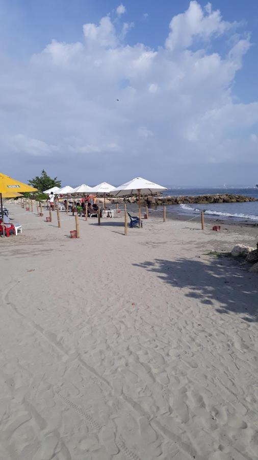 Shark 1514 Nuevo Conquistador Cartagena Екстер'єр фото